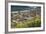 Northern Elephant Seals, Piedras Blancas Elephant Seal Rookery, Near San Simeon, California-David Wall-Framed Photographic Print