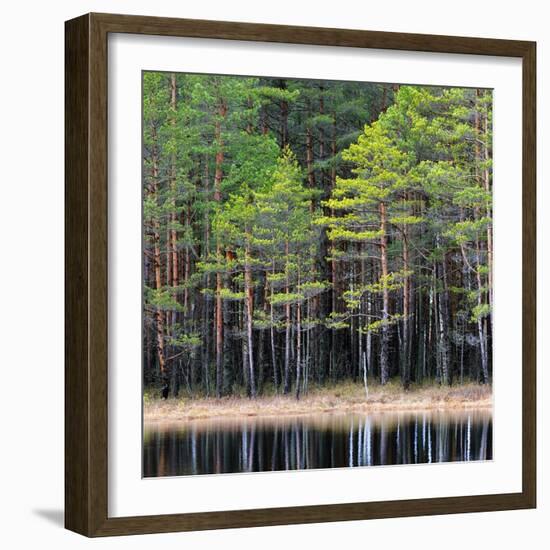 Northern Forest Landscape with a Lake-Aleksey Stemmer-Framed Photographic Print