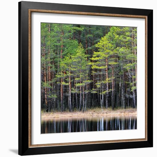 Northern Forest Landscape with a Lake-Aleksey Stemmer-Framed Photographic Print