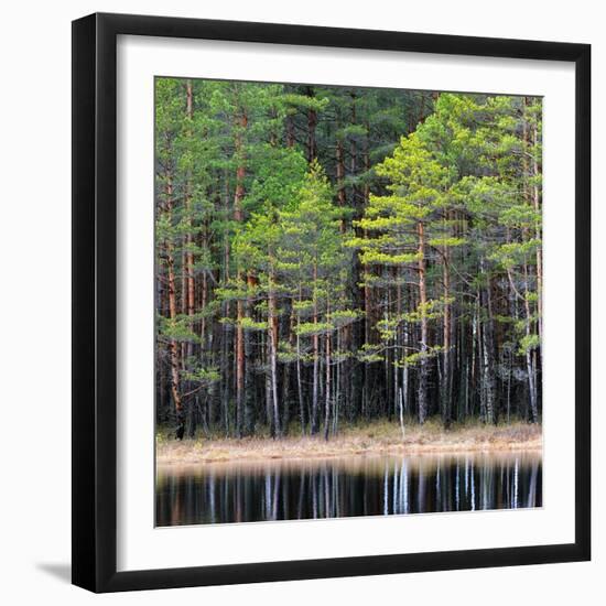 Northern Forest Landscape with a Lake-Aleksey Stemmer-Framed Photographic Print