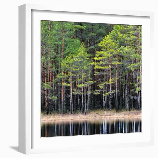 Northern Forest Landscape with a Lake-Aleksey Stemmer-Framed Photographic Print