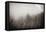 Northern Forests BW-Nathan Larson-Framed Premier Image Canvas