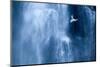 Northern fulmar in flight against a waterfall, Iceland-Ben Hall-Mounted Photographic Print