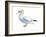 Northern Gannet (Morus Bassanus), Birds-Encyclopaedia Britannica-Framed Art Print