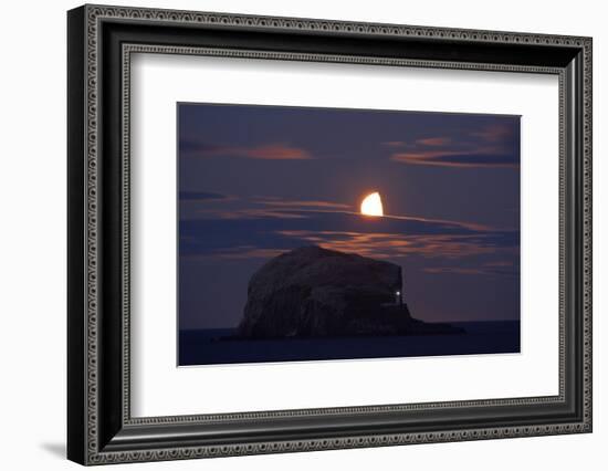 Northern Gannet (Morus Bassanus) Colony, Bass Rock with the Moon Rising, Firth of Forth, Scotland-Green-Framed Photographic Print