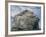 Northern gannet nesting colony atop Stac Lee-Kevin Schafer-Framed Photographic Print