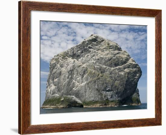 Northern gannet nesting colony atop Stac Lee-Kevin Schafer-Framed Photographic Print