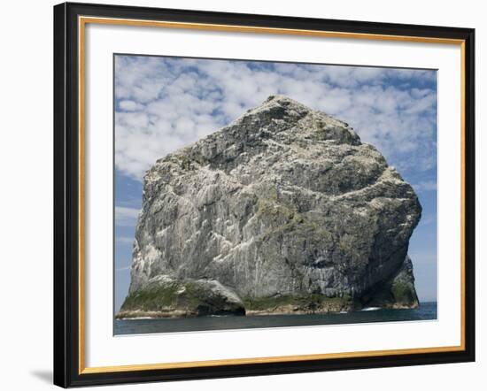 Northern gannet nesting colony atop Stac Lee-Kevin Schafer-Framed Photographic Print