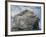 Northern gannet nesting colony atop Stac Lee-Kevin Schafer-Framed Photographic Print