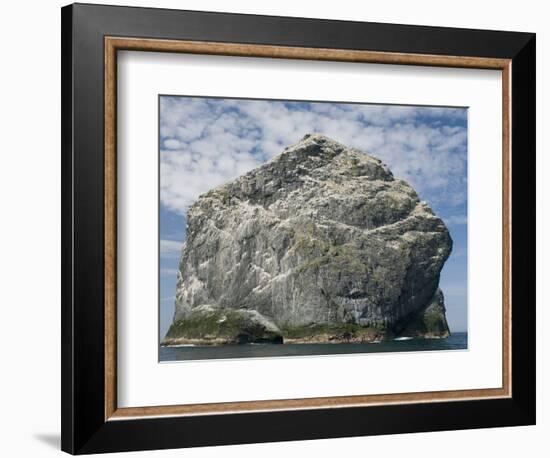 Northern gannet nesting colony atop Stac Lee-Kevin Schafer-Framed Photographic Print