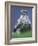 Northern Goshawk, Male Close-Up, Scotland-Pete Cairns-Framed Photographic Print