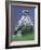 Northern Goshawk, Male Close-Up, Scotland-Pete Cairns-Framed Photographic Print