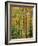 Northern Hardwood Forest in Fall, Green Mountain National Forest, Vermont, USA-Jerry & Marcy Monkman-Framed Photographic Print