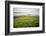 Northern Ireland, Antrim Coast, Glens-Bluehouseproject-Framed Photographic Print