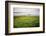 Northern Ireland, Antrim Coast, Glens-Bluehouseproject-Framed Photographic Print