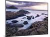 Northern Ireland, County antrim, Giants causeway-Shaun Egan-Mounted Photographic Print