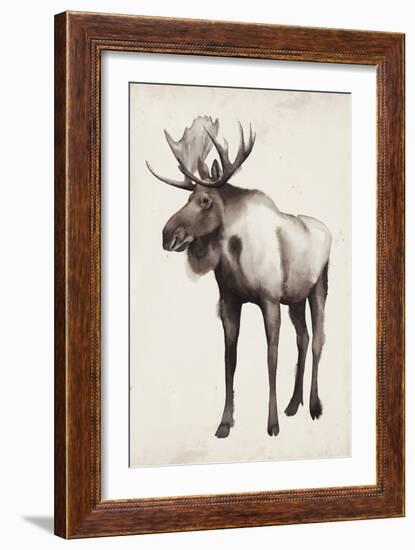 Northern Journey II-Grace Popp-Framed Art Print