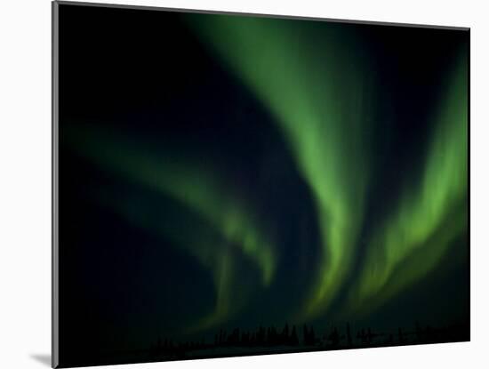 Northern Light, Aurora Borealis, Churchill, Manitoba, Canada-Thorsten Milse-Mounted Photographic Print