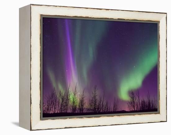 Northern Lights Alaska-KRAlaska-Framed Premier Image Canvas