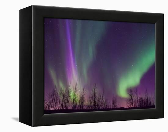 Northern Lights Alaska-KRAlaska-Framed Premier Image Canvas