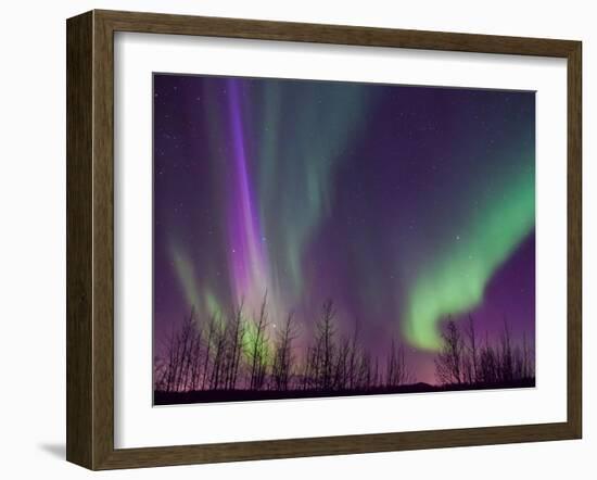 Northern Lights Alaska-KRAlaska-Framed Photographic Print