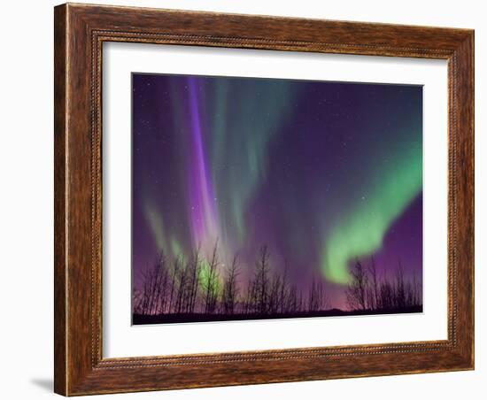 Northern Lights Alaska-KRAlaska-Framed Photographic Print