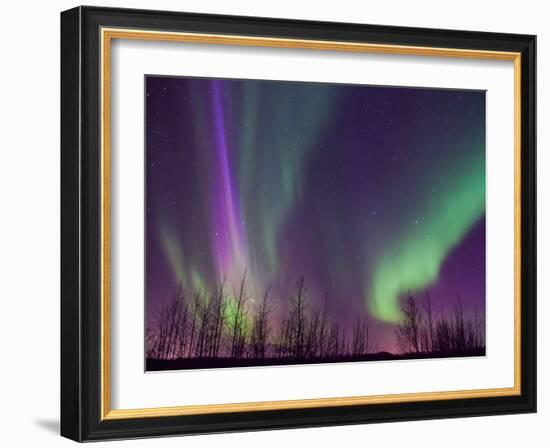 Northern Lights Alaska-KRAlaska-Framed Photographic Print