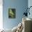 Northern Lights and Orcas-Lantern Press-Framed Stretched Canvas displayed on a wall