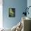Northern Lights and Orcas-Lantern Press-Framed Stretched Canvas displayed on a wall
