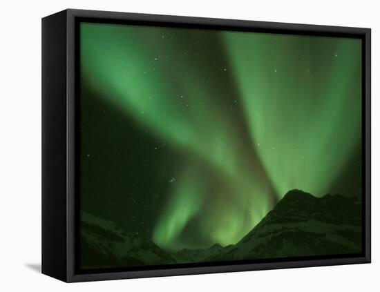 Northern Lights, Arctic National Wildlife Refuge, Alaska USA-Steve Kazlowski-Framed Premier Image Canvas