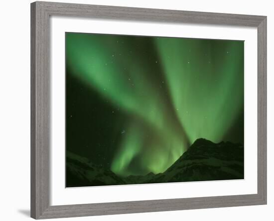 Northern Lights, Arctic National Wildlife Refuge, Alaska USA-Steve Kazlowski-Framed Photographic Print