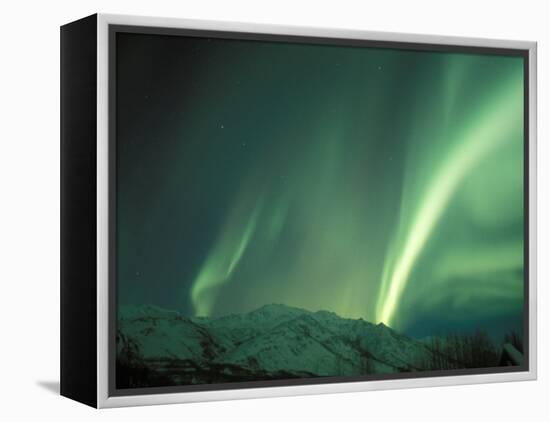 Northern Lights, Arctic National Wildlife Refuge, Alaska, USA-Steve Kazlowski-Framed Premier Image Canvas