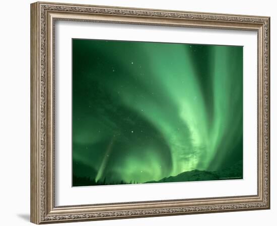 Northern Lights, Arctic National Wildlife Refuge, Alaska USA-Steve Kazlowski-Framed Photographic Print