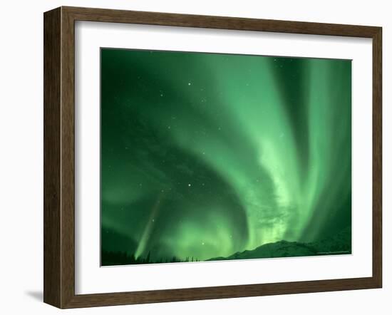 Northern Lights, Arctic National Wildlife Refuge, Alaska USA-Steve Kazlowski-Framed Photographic Print