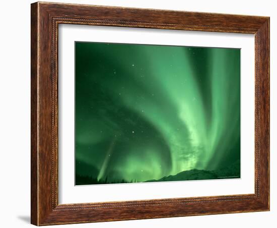 Northern Lights, Arctic National Wildlife Refuge, Alaska USA-Steve Kazlowski-Framed Photographic Print