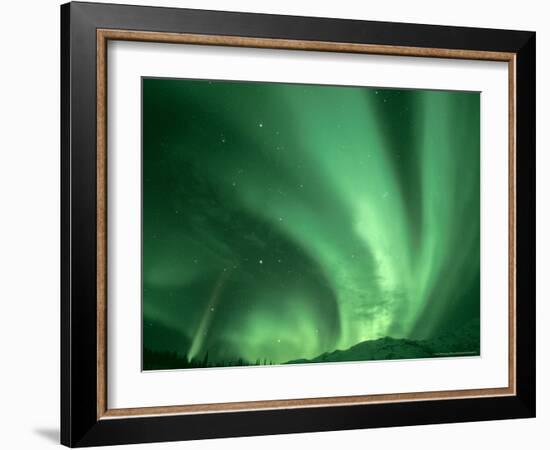 Northern Lights, Arctic National Wildlife Refuge, Alaska USA-Steve Kazlowski-Framed Photographic Print