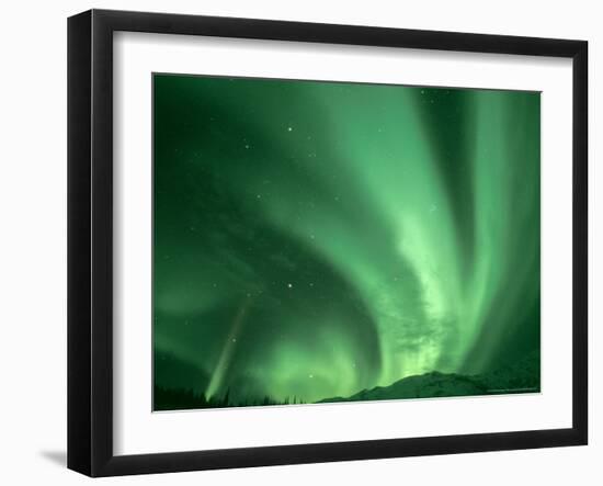 Northern Lights, Arctic National Wildlife Refuge, Alaska USA-Steve Kazlowski-Framed Photographic Print