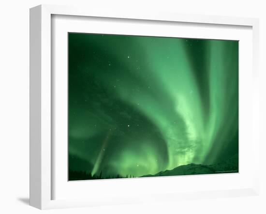 Northern Lights, Arctic National Wildlife Refuge, Alaska USA-Steve Kazlowski-Framed Photographic Print