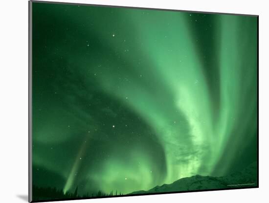 Northern Lights, Arctic National Wildlife Refuge, Alaska USA-Steve Kazlowski-Mounted Photographic Print