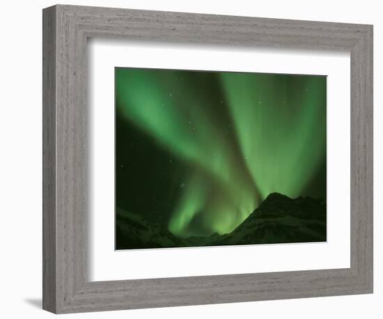 Northern Lights, Arctic National Wildlife Refuge, Alaska USA-Steve Kazlowski-Framed Photographic Print