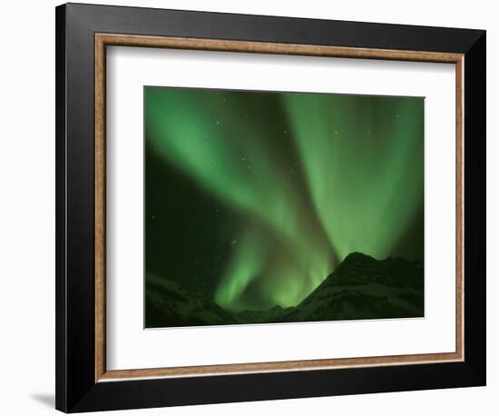 Northern Lights, Arctic National Wildlife Refuge, Alaska USA-Steve Kazlowski-Framed Photographic Print