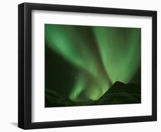 Northern Lights, Arctic National Wildlife Refuge, Alaska USA-Steve Kazlowski-Framed Photographic Print
