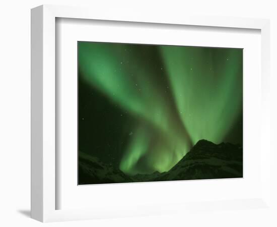 Northern Lights, Arctic National Wildlife Refuge, Alaska USA-Steve Kazlowski-Framed Photographic Print