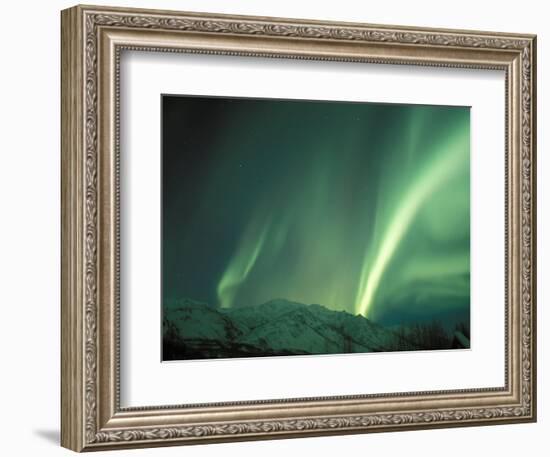 Northern Lights, Arctic National Wildlife Refuge, Alaska, USA-Steve Kazlowski-Framed Photographic Print