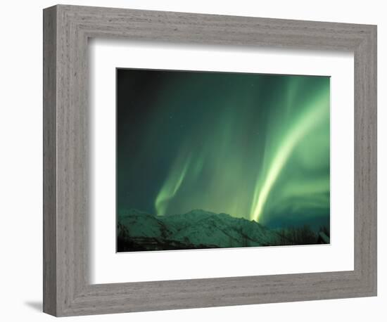 Northern Lights, Arctic National Wildlife Refuge, Alaska, USA-Steve Kazlowski-Framed Photographic Print