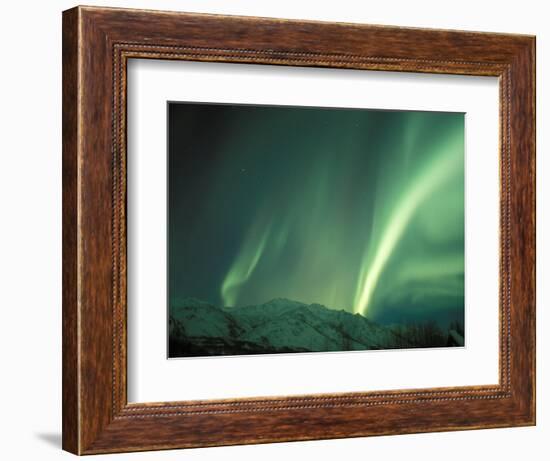 Northern Lights, Arctic National Wildlife Refuge, Alaska, USA-Steve Kazlowski-Framed Photographic Print