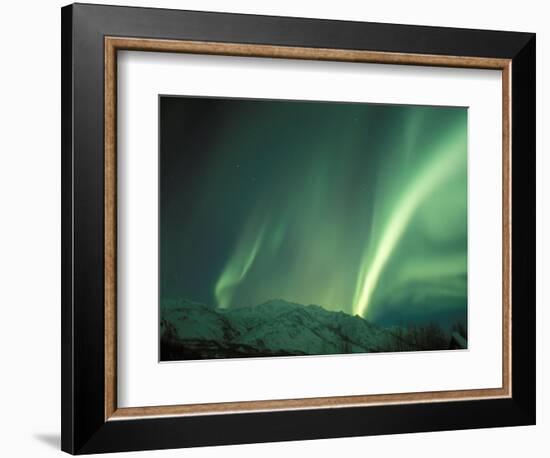 Northern Lights, Arctic National Wildlife Refuge, Alaska, USA-Steve Kazlowski-Framed Photographic Print