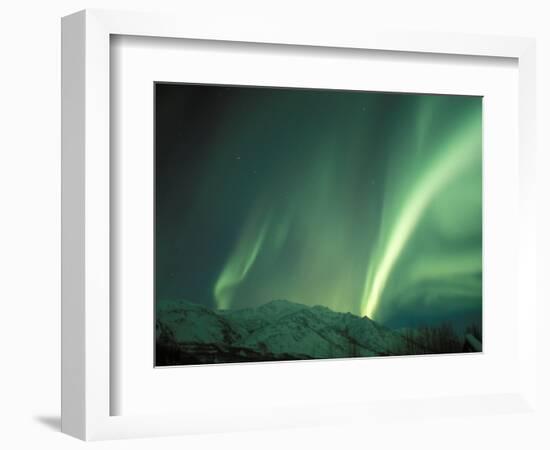 Northern Lights, Arctic National Wildlife Refuge, Alaska, USA-Steve Kazlowski-Framed Photographic Print