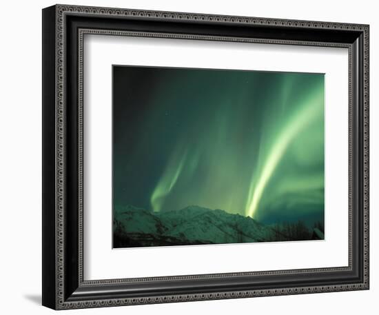 Northern Lights, Arctic National Wildlife Refuge, Alaska, USA-Steve Kazlowski-Framed Photographic Print