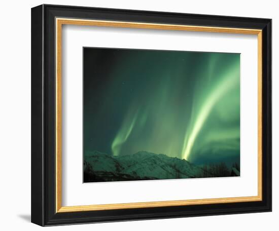 Northern Lights, Arctic National Wildlife Refuge, Alaska, USA-Steve Kazlowski-Framed Photographic Print